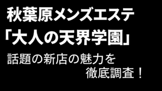 大人の天界学園　体験談